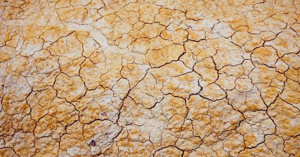 اضطراب زیستمحیطی چیست و چگونه با آن کنار بیاییم؟