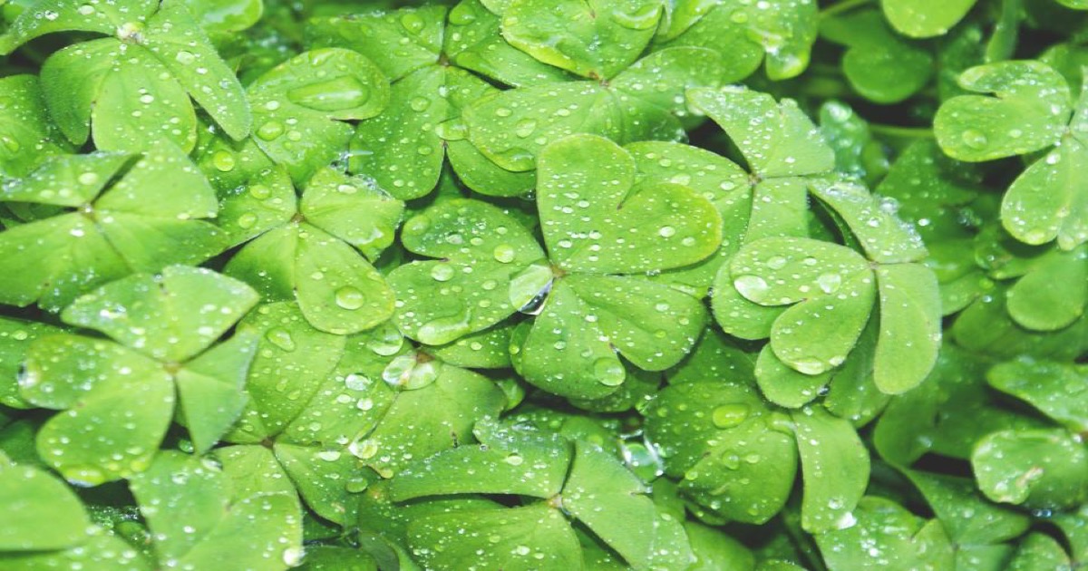 روانشناسی خرافات: چرا مغز ما به تفکر جادویی گرایش دارد؟