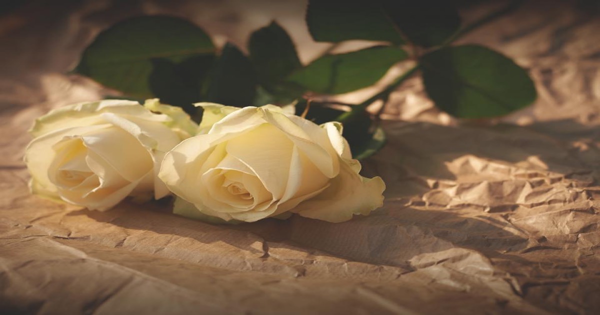 اولین عشق در نوجوانی دخترانه؛ هیجان، سردرگمی و مرزهای عاطفی